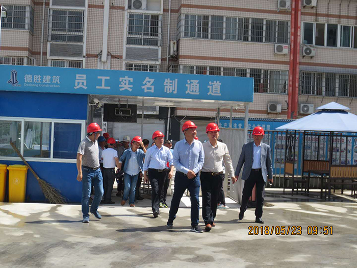 河南新县政府领导参观我公司项目